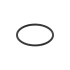 L55580 Уплотнительное кольцо (O-Ring) John Deere