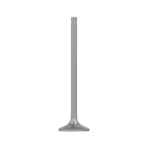 R527333 Впускной клапан (Intake Valve) John Deere