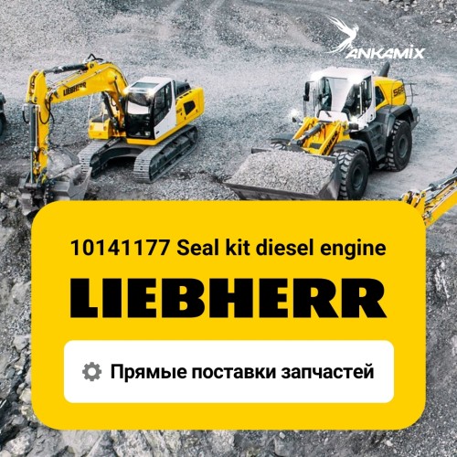 10141177 Seal kit diesel engine Liebherr