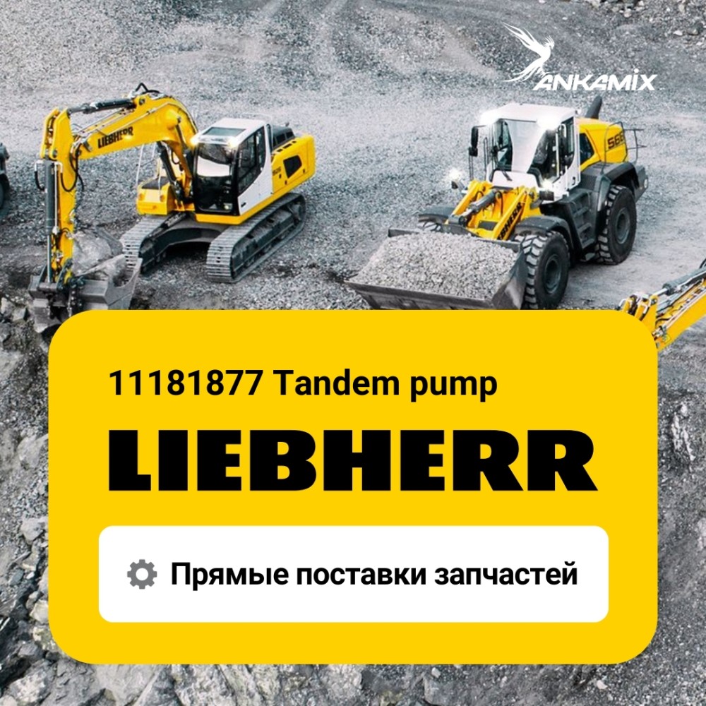 11181877 Tandem pump Liebherr
