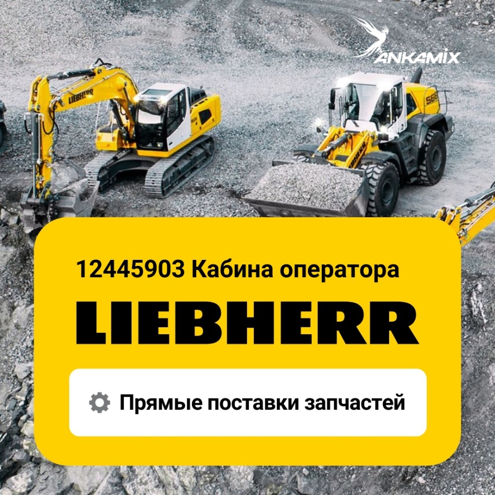 12445903 Driver cab frame construction Liebherr