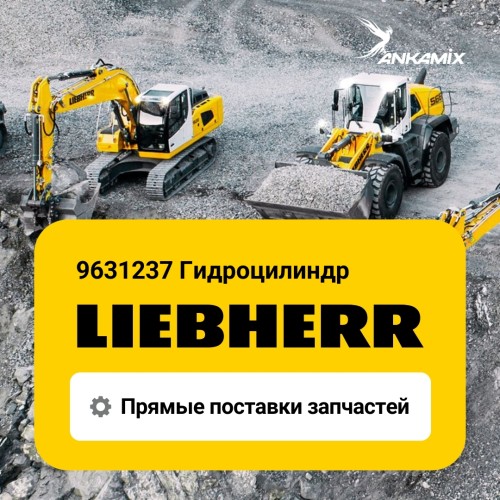 9631237 Гидроцилиндр (Hydraulic cylinder) Liebherr