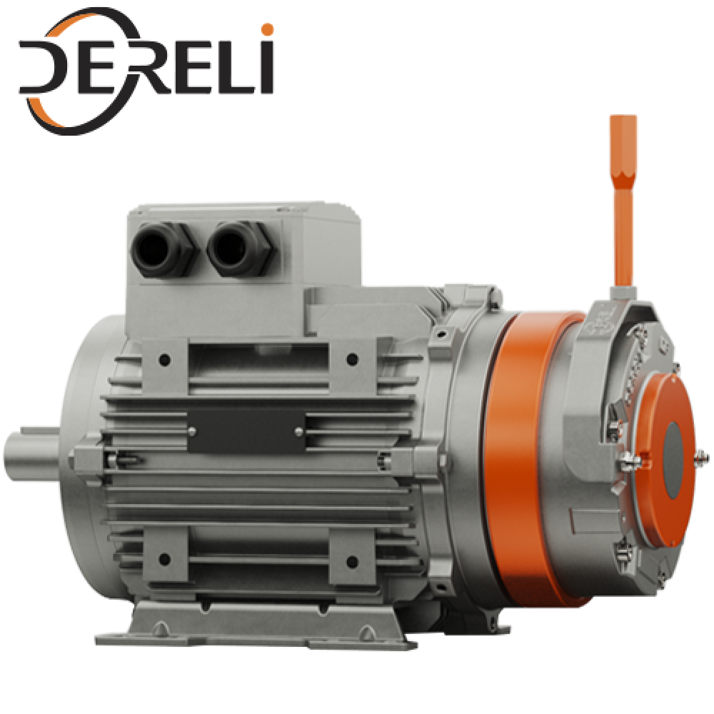 DERELİ DF 05 / 220 V AC / 98 V DC / M1 / 63 M 2a / SZ / FK