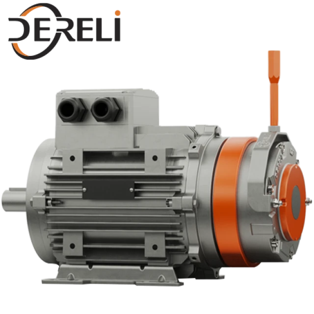 DERELİ DF 10 / 220 V AC / 98 V DC / M1 / 80 M 2a / SZ / FK