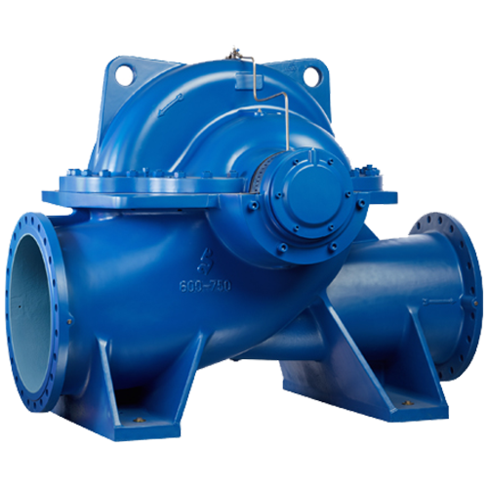 Насос SDS 65-250 / Q: 160 м³/ч / H: 112 м / P: 75 кВт / n: 2970