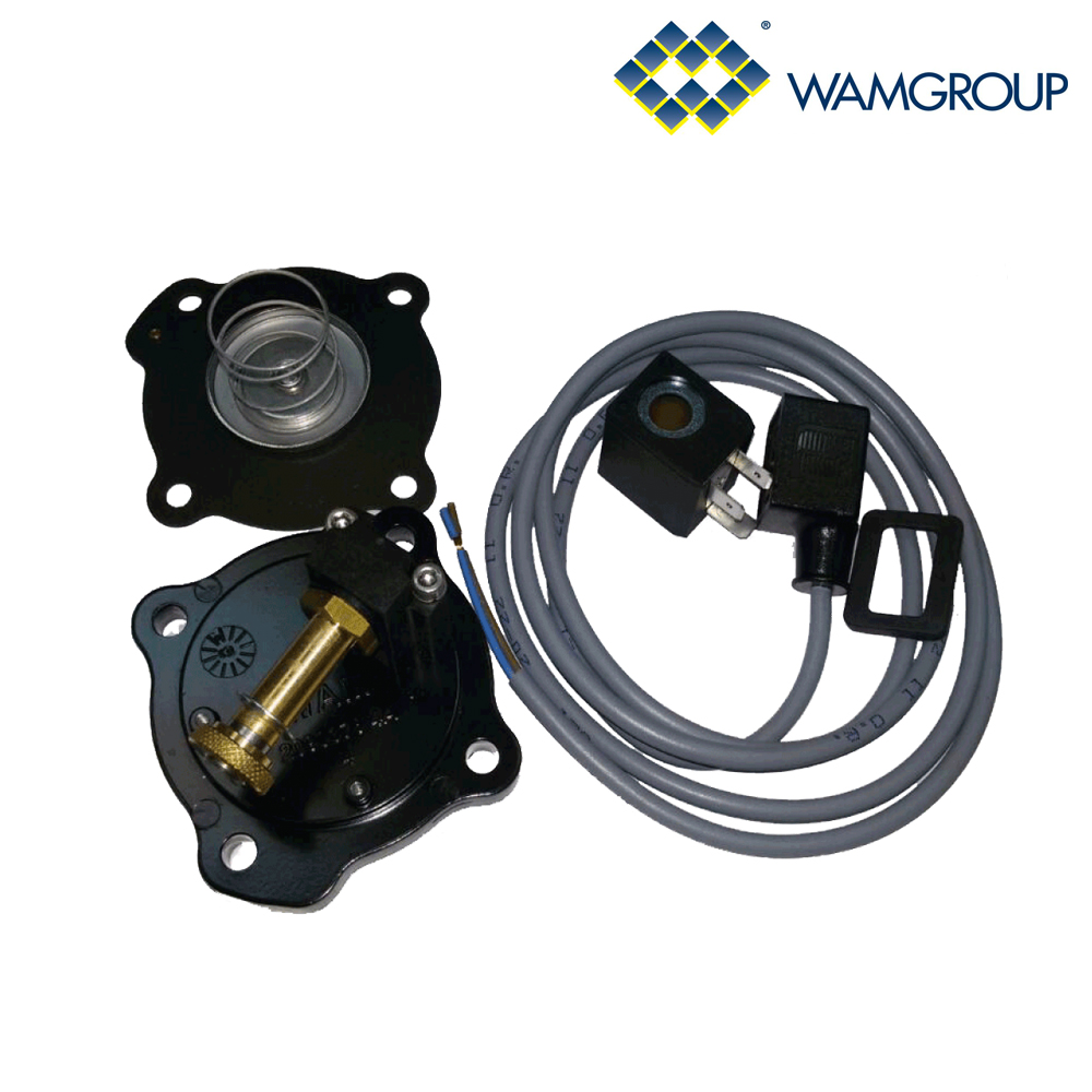 Клапан электромагнитный KEVN02450