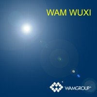 Шнеки WAM WUXI