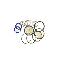 049346 Комплект уплотнений рулевого цилиндра Carraro