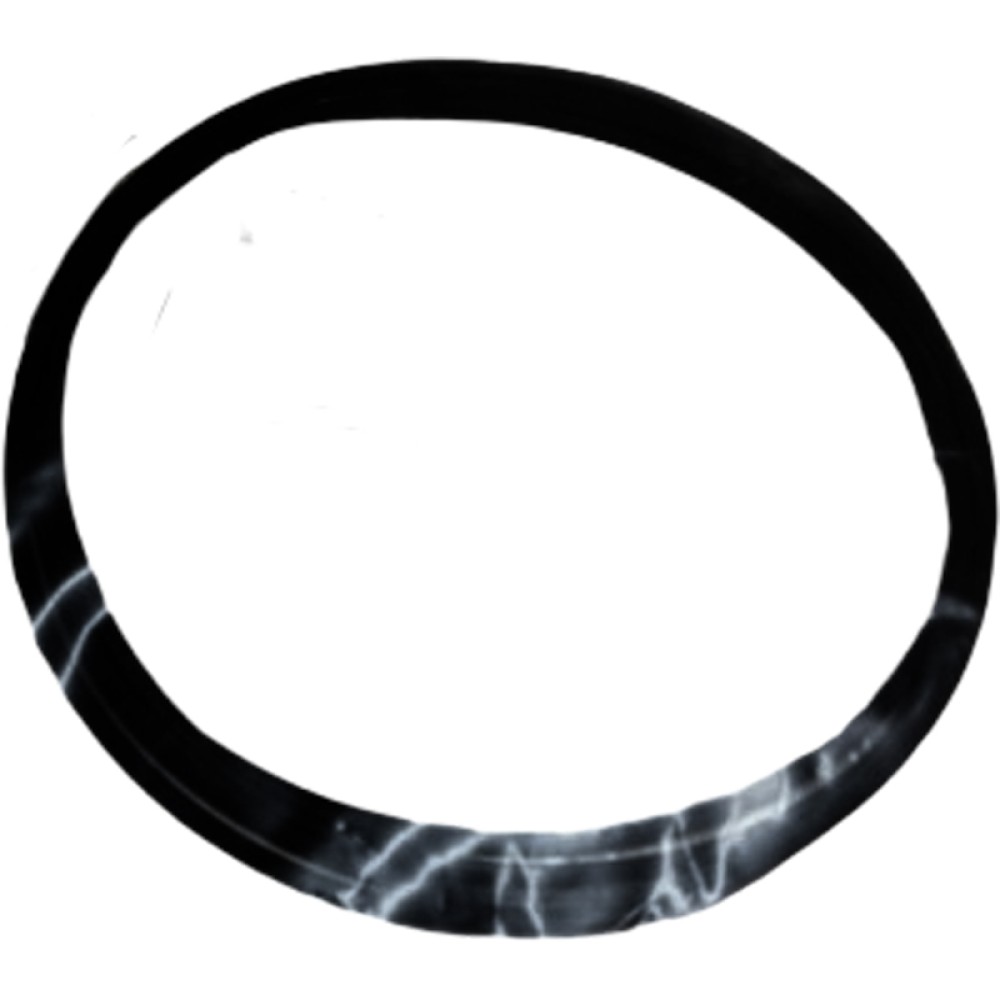 112.07.009.01 Уплотнительное кольцо MST