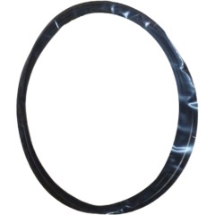 112.07.009.02 Уплотнительное кольцо MST