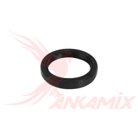 240421009 Уплотнительное кольцо для задней опоры S-клапана