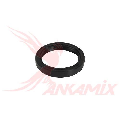 240421009 Уплотнительное кольцо для задней опоры S-клапана для PUTZMEISTER