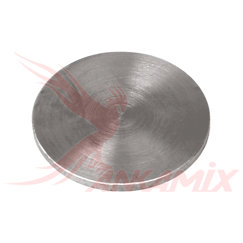 259521000 Пятак круглой плиты для PUTZMEISTER