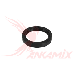 240421009 Уплотнительное кольцо для задней опоры S-клапана