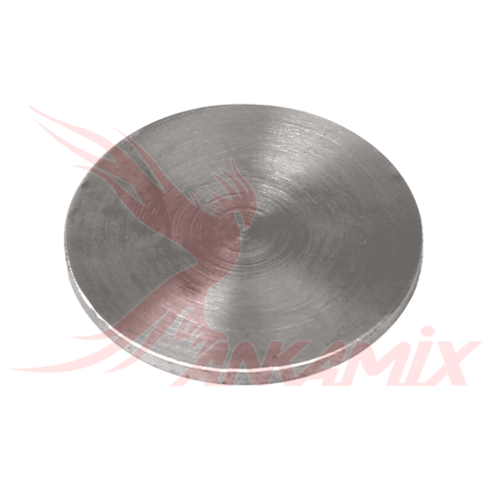 259521000 Пятак круглой плиты