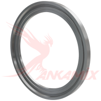 K1027624 Кольцо металлическое