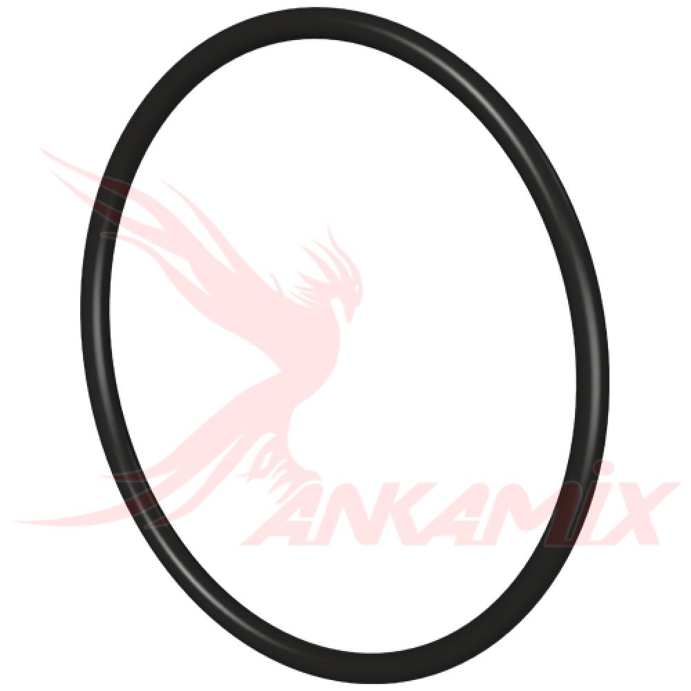 E1007991 Кольцо уплотнительное 249.3х3