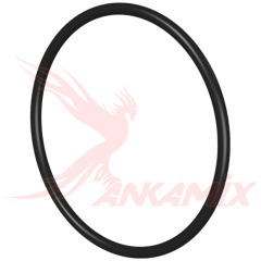 E1007991 Кольцо уплотнительное 249.3х3