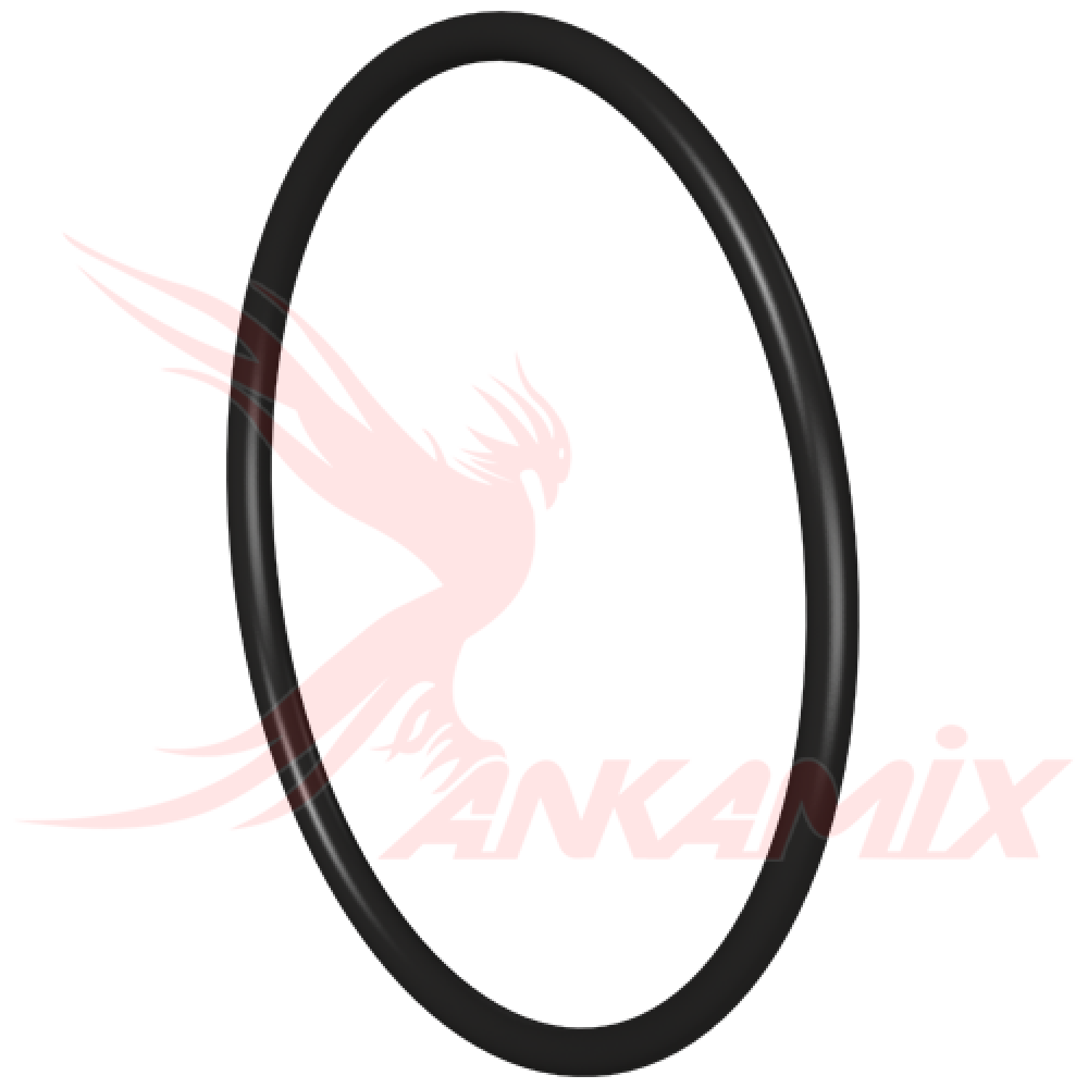 E1007991 Кольцо уплотнительное 249.3х3