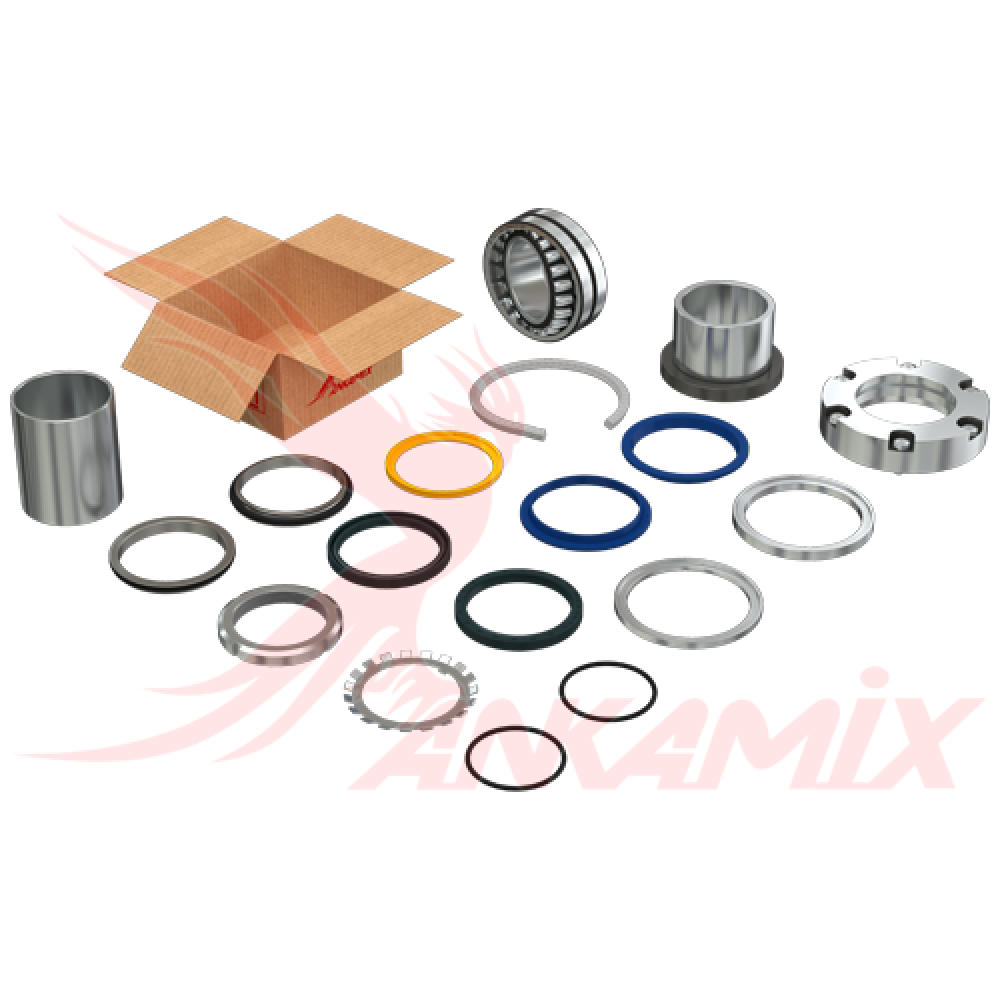 50305000001 Ремкомплект с подшипником