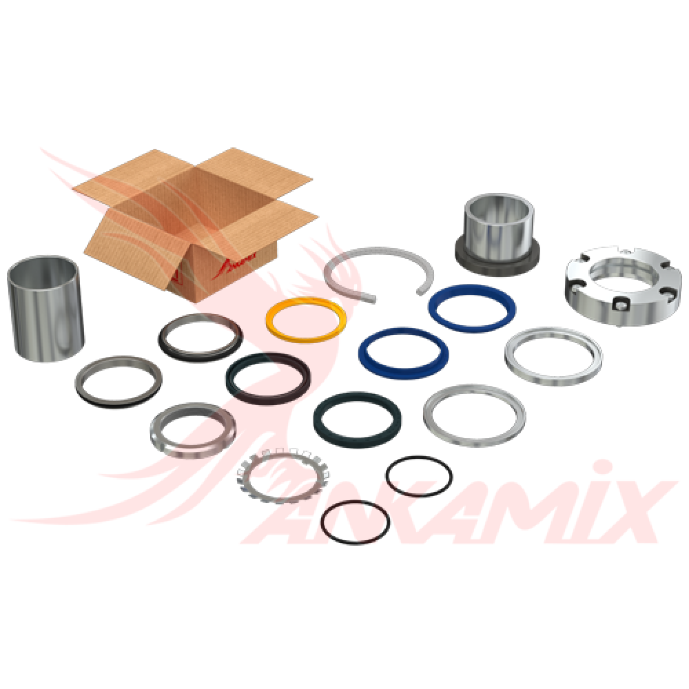 50305000002 Ремкомплект без подшипника