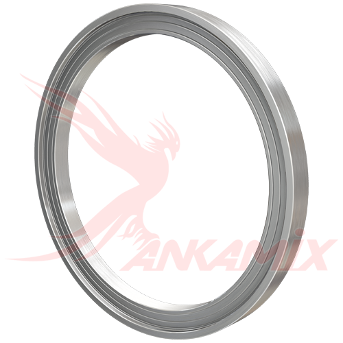 51002006005 Кольцо металлическое для IME TS