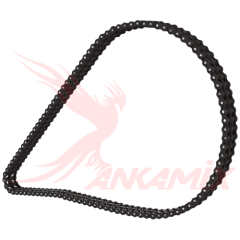 1010645 Цепь приводная двухрядная 20B-2R