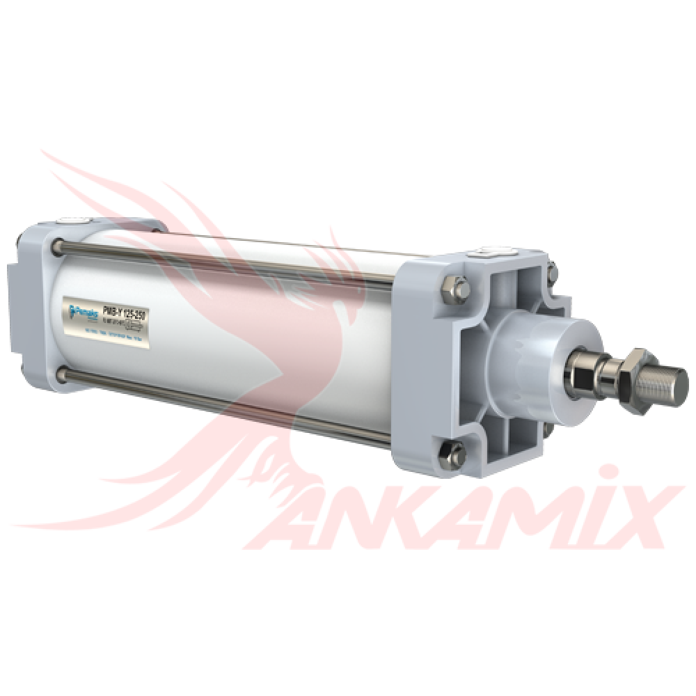 1011864 Пневматический цилиндр PMB-Y 125-250 Pemaks Pnömatik