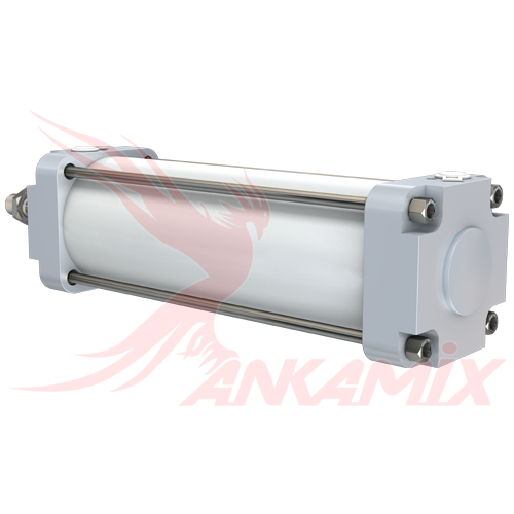 1011864 Пневматический цилиндр PMB-Y 125-250 Pemaks Pnömatik