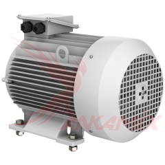 1021364 Электродвигатель (Siemens 50 Hz) / (Gamak 380v 60 Hz)