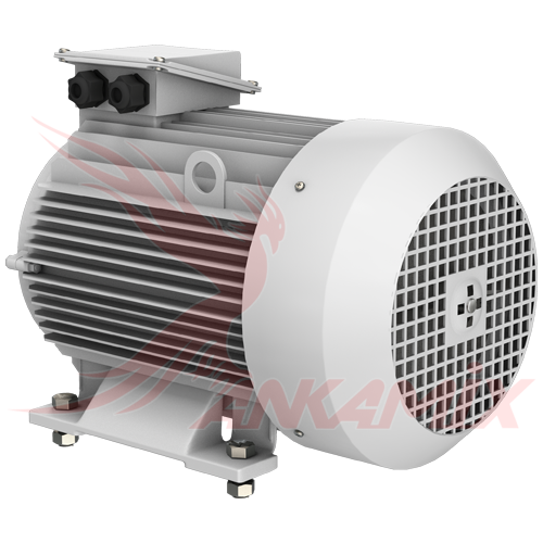 1022782 Электродвигатель (Gamak 50 Hz)