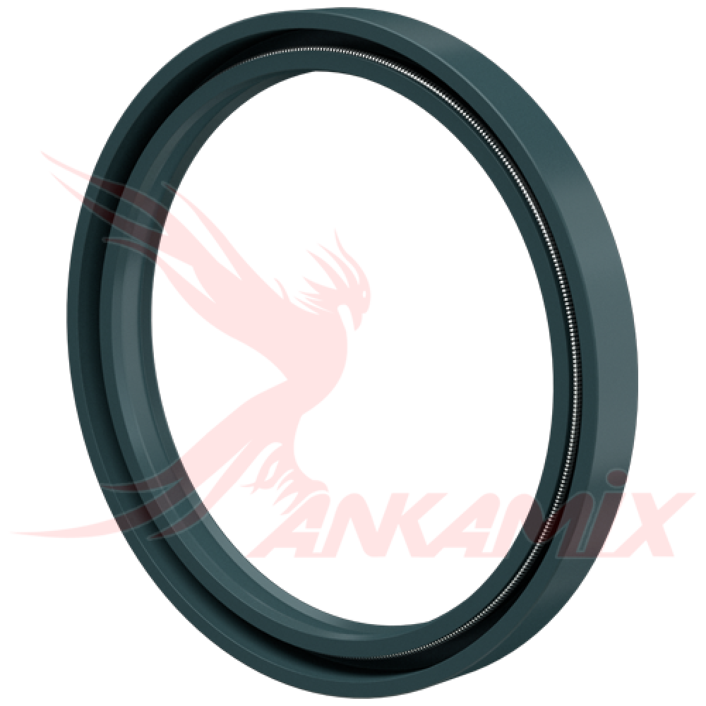 TAV.4A/29 Сальник TC 100x120x12