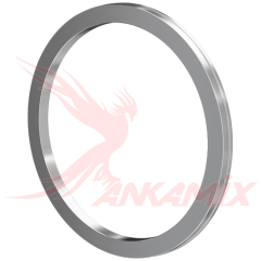 2.005.00.208 Кольцо