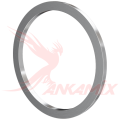 2.005.00.208 Кольцо