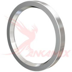 2.005.00.161 Кольцо металлическое