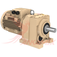 101-S05/24-00 Мотор-редуктор MR502-180M/4 / 18.5 кВт