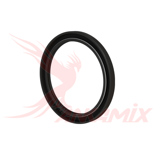 101-S05/04-08 Сальник для SEMIX SS 750/500