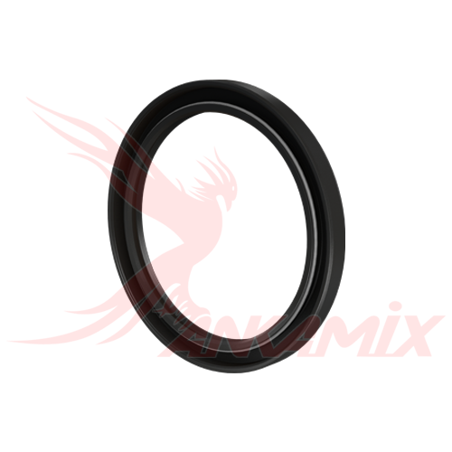 101-S05/04-10 Сальник для SEMIX SS 750/500