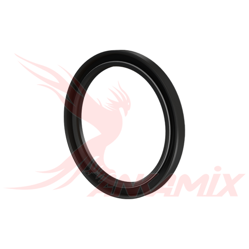 101-S05/04-11 Сальник для SEMIX SS 750/500