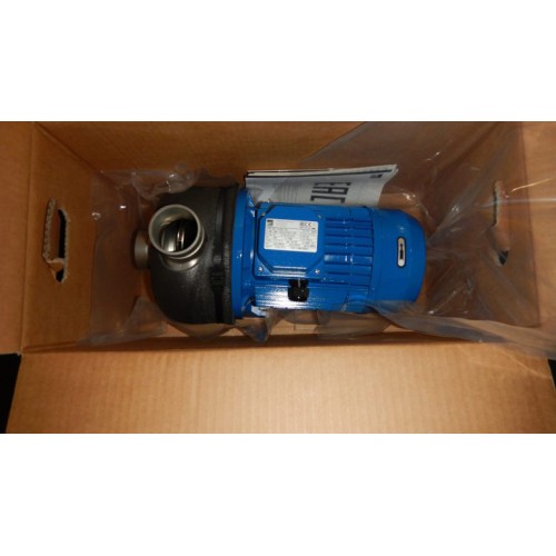 2190100004I Насос моноблочный центробежный пазовый EBARA DWC-V/I 500/2.2 IE3 / Q: 45 м³/ч / H: 11.5 м / P: 2.2 кВт / n: 2900 об/мин