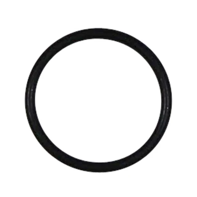 O-RING 27X2,5 96549894