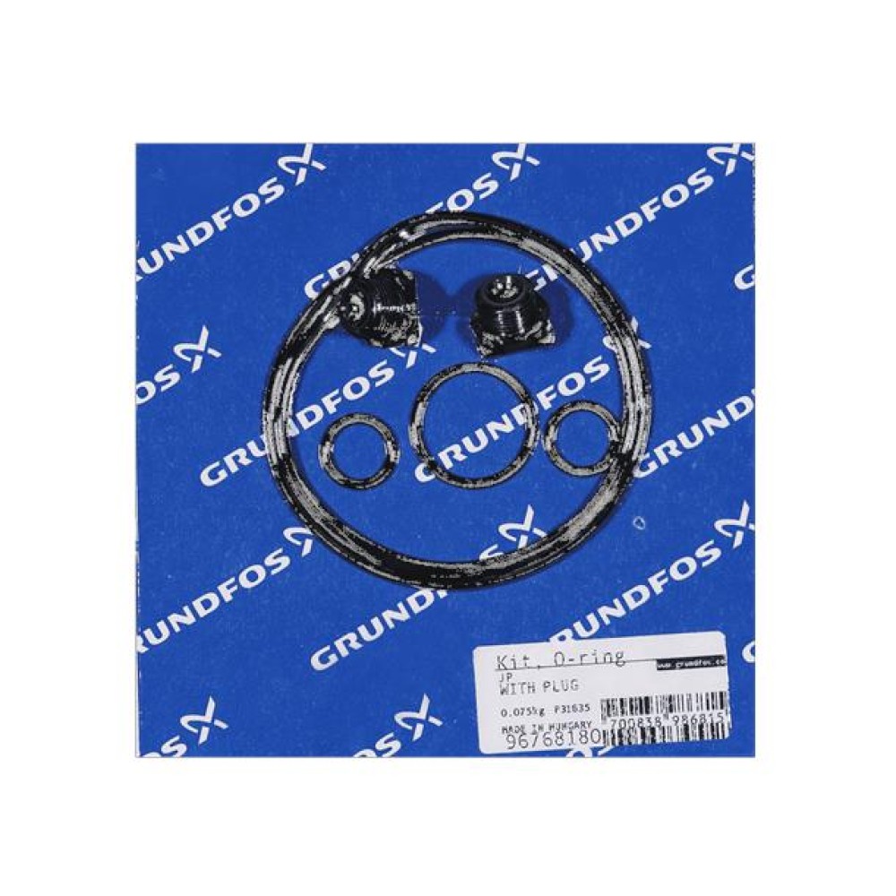 KIT, O-ring with plug 96768180