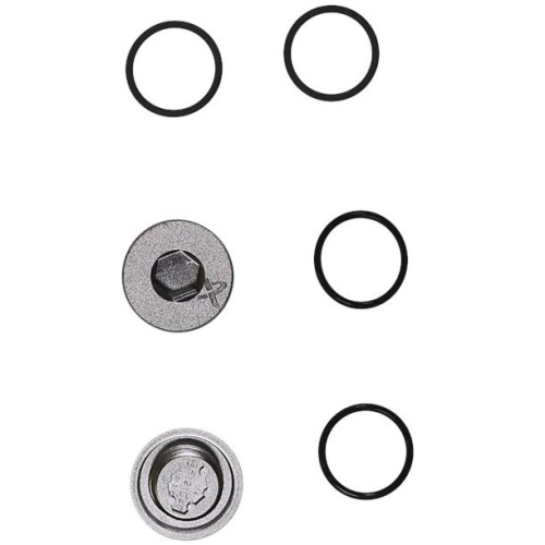 Drain/Fill Plug kit CM - E/V, 96932395 для Grundfos CM