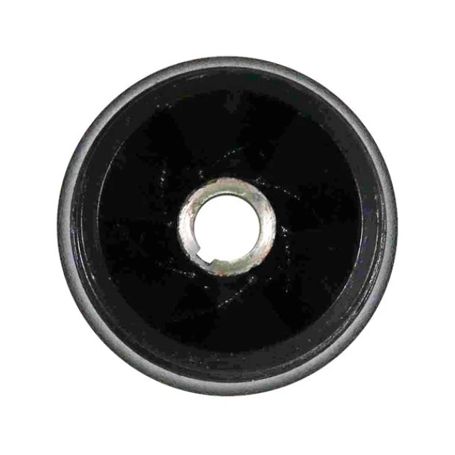 Spare, Impeller 50-125/80-65-125/115 CI 98296643