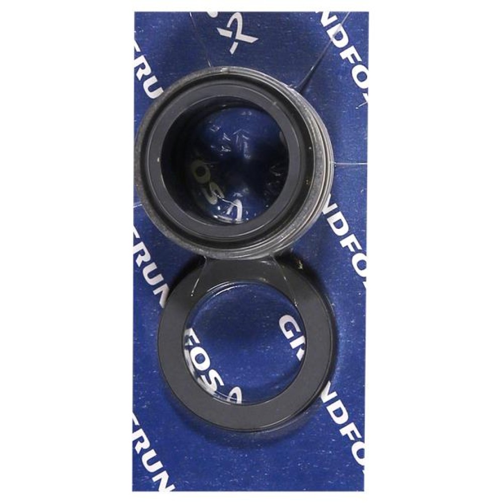 Shaft seal BQQV GG D38/spare 98434908
