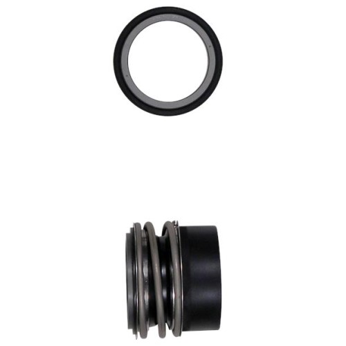 Shaft seal BQQV GG D48/spare, 98434941 для Grundfos NB/NK
