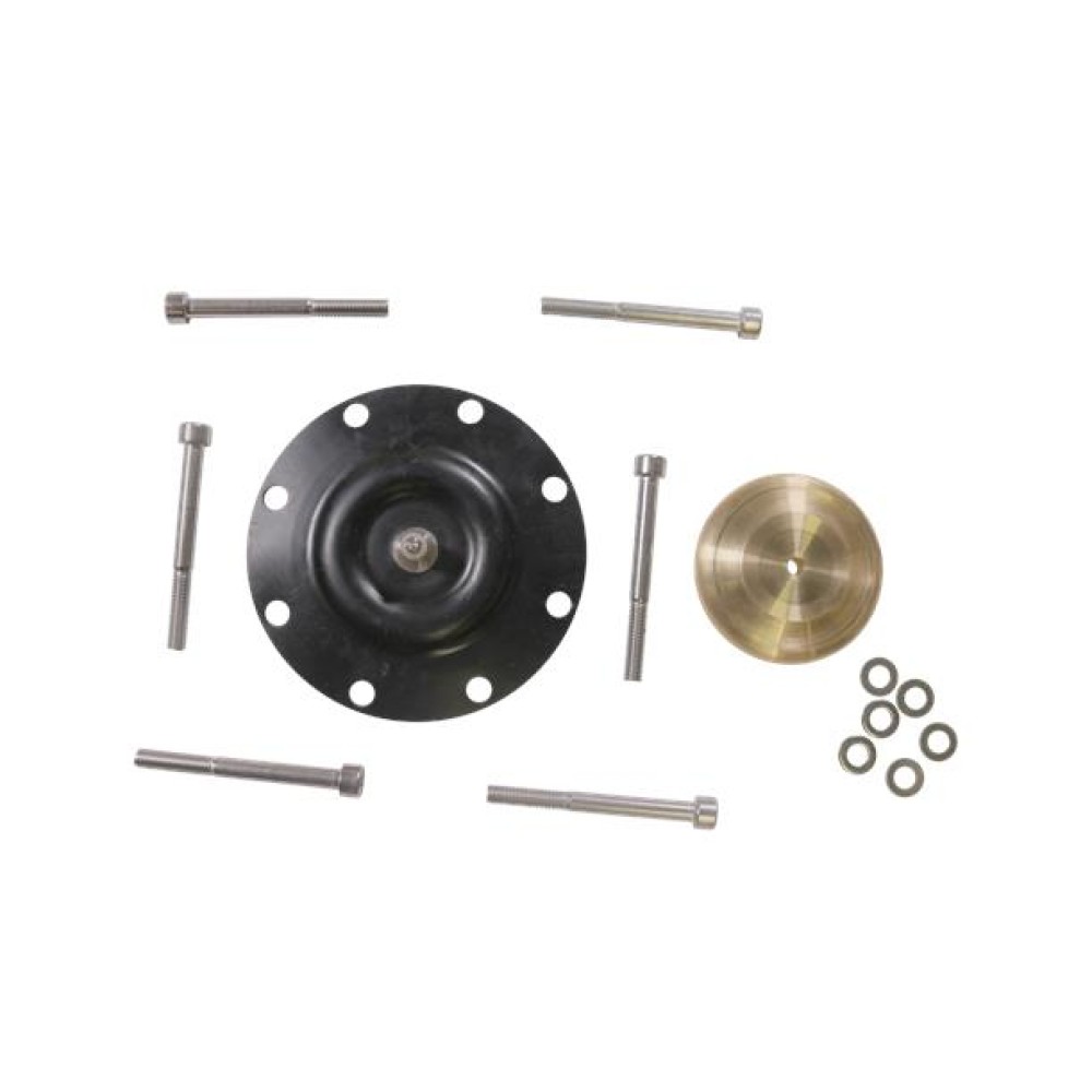 KIT, diaph DMX226-460 PTFE 98922729