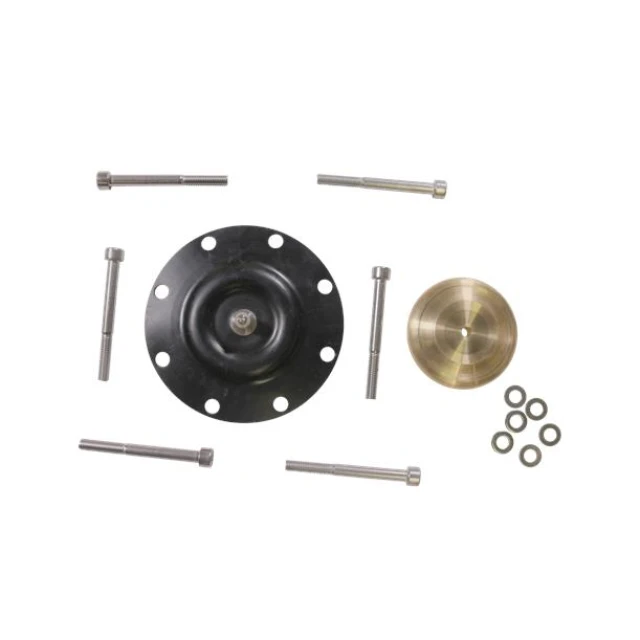 KIT, diaph DMX226-460 PTFE 98922729