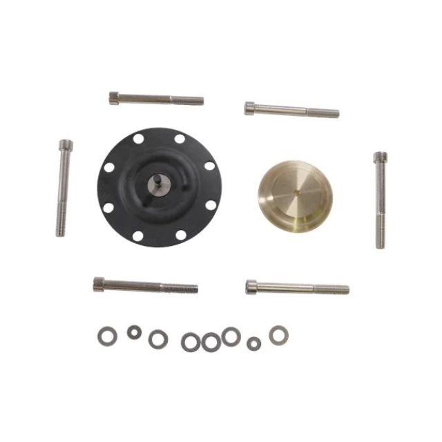 KIT, diaph DMX226-765 PTFE 98922730