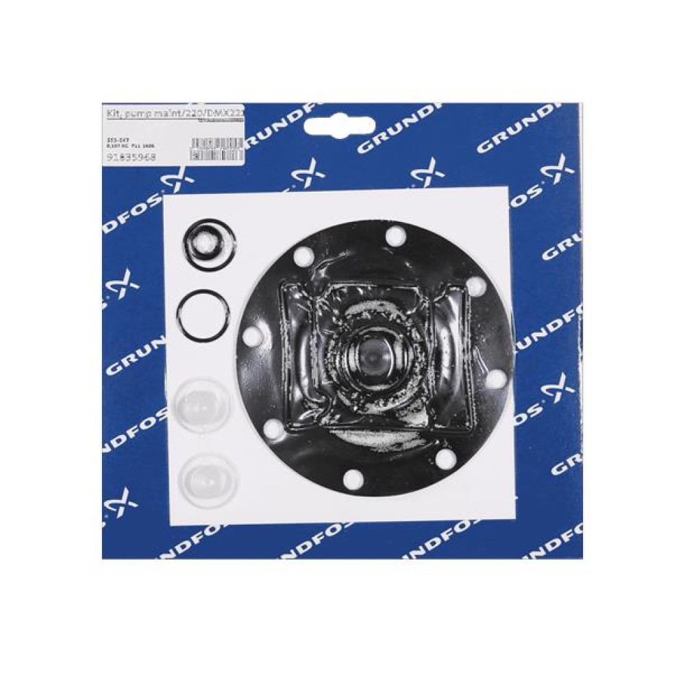 KIT, pump maint/220/DMX221-115/PVC/V/G 91835968
